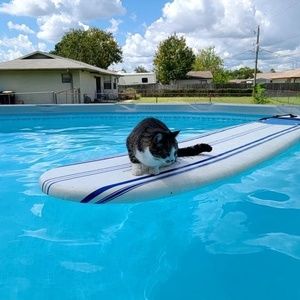 Meet your Posher, Dan